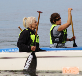 Programs page website (2)